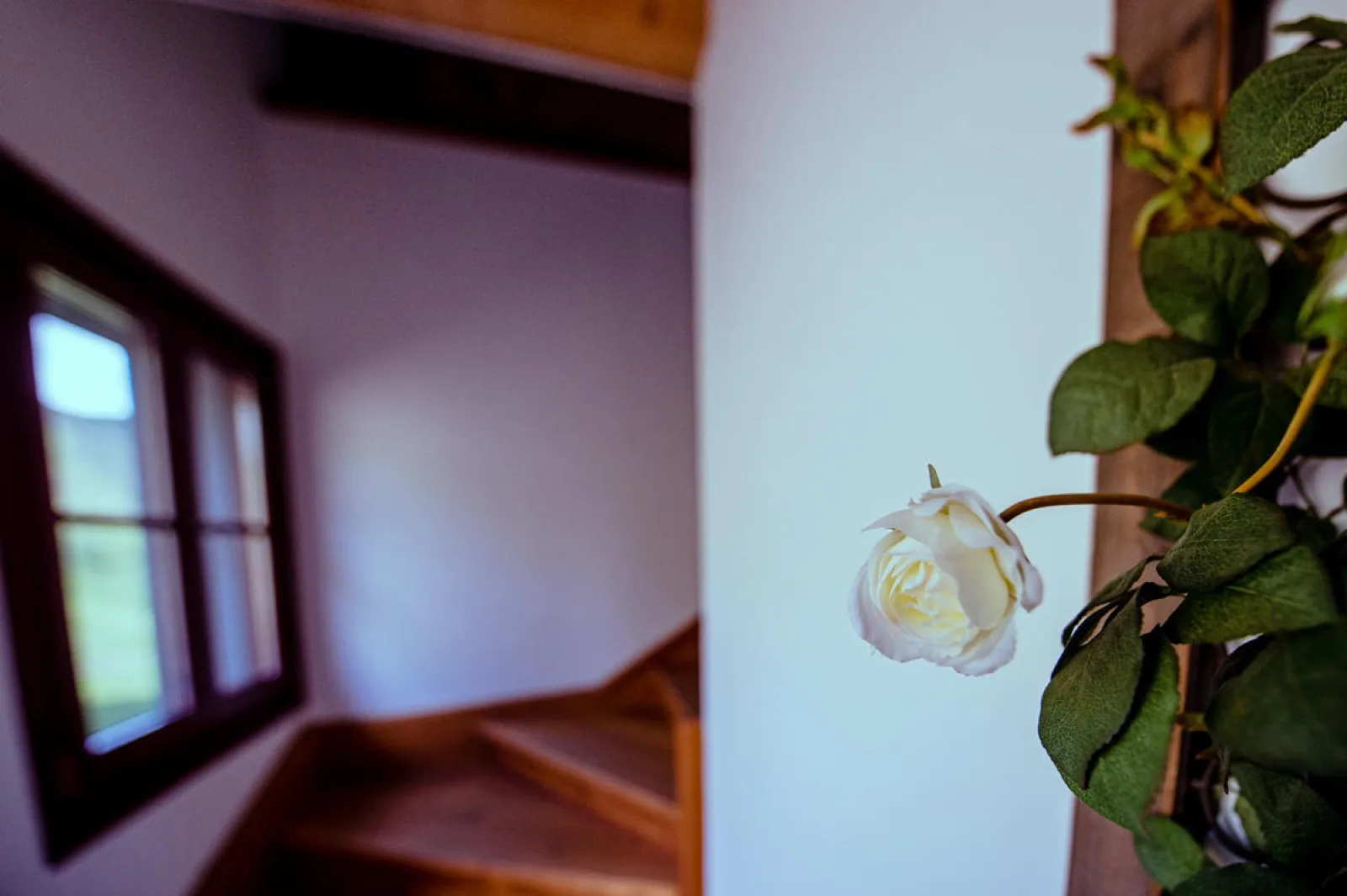 Stanza dei Fiori (Flower room) — fotografia 3