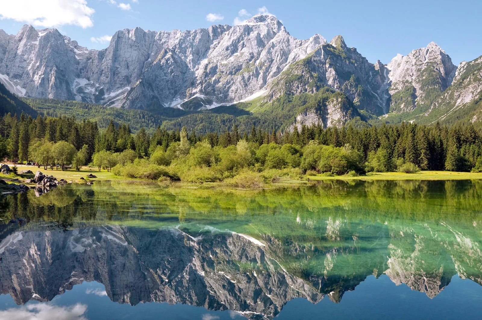 Foresta di Tarvisio